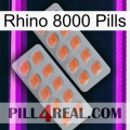 Rhino 8000 Pills 27